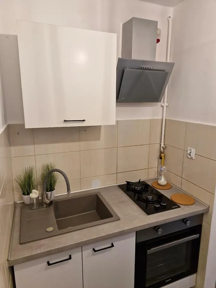 Green Apartment Γκντανσκ